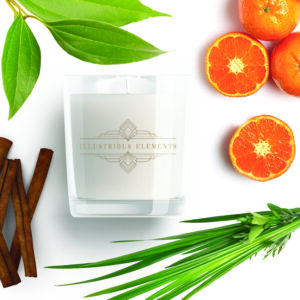 NEW! EARTH Scent – Candle –  Illustrious Elements Collection