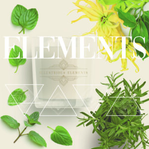 NEW!! Illustrious Elements – Signature Elements Box