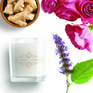 Scorpio Scent (23 Oct- 21 Nov) – Illustrious Elements Collection