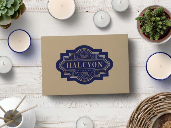 Halcyon Naturals/Illustrious Elements Subscription Boxes - Image 5