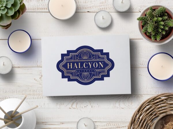 Halcyon Naturals/Illustrious Elements Subscription Boxes - Image 4