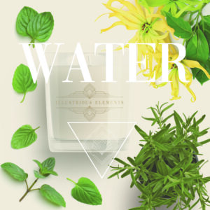 NEW!! Illustrious Elements – Water Element Box